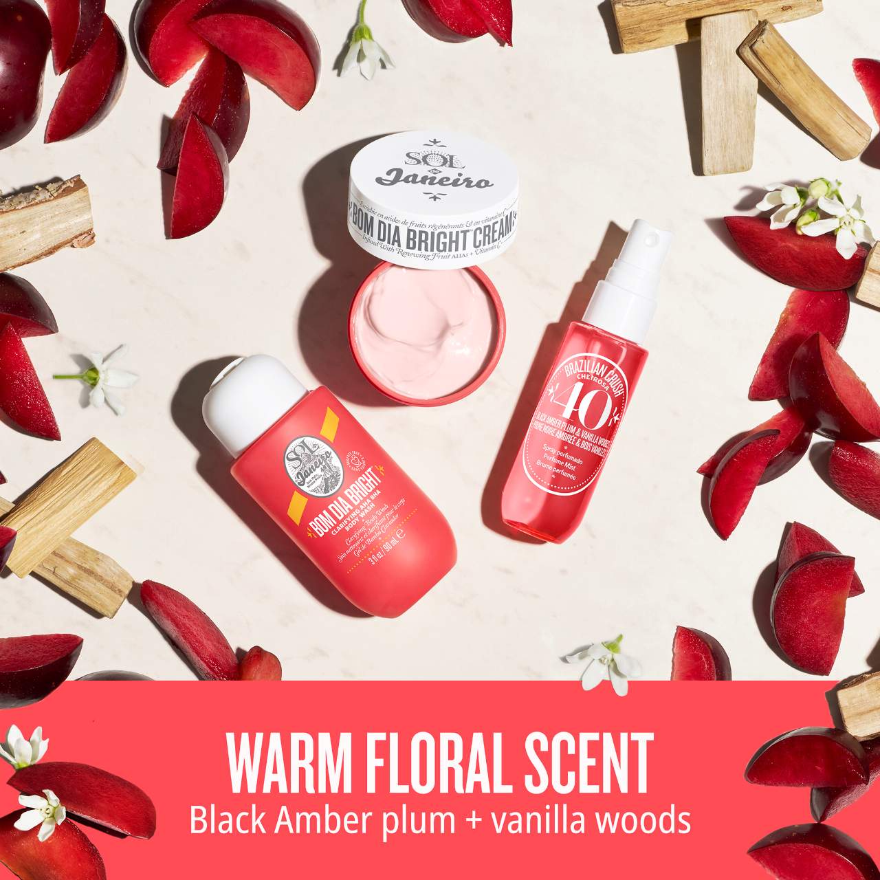 Bom Dia Bright™ Jet Set